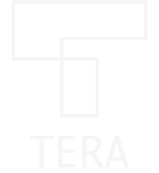 Tera Securizadora